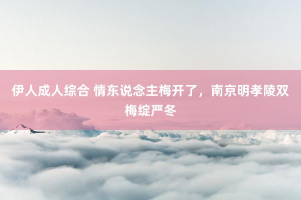 伊人成人综合 情东说念主梅开了，南京明孝陵双梅绽严冬