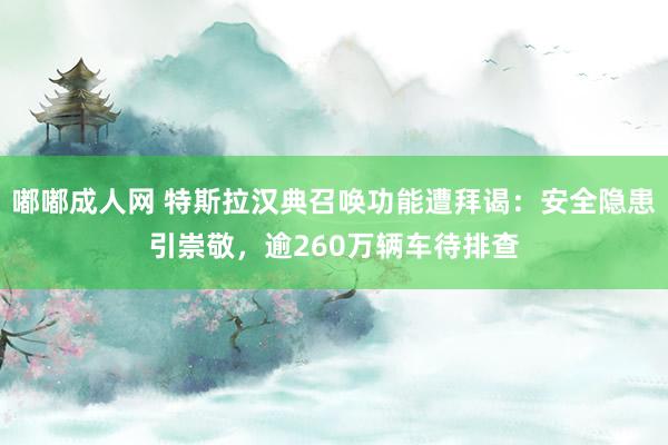 嘟嘟成人网 特斯拉汉典召唤功能遭拜谒：安全隐患引崇敬，逾260万辆车待排查