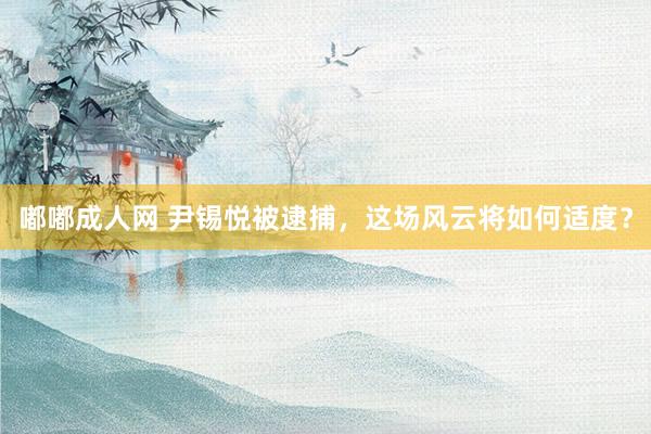 嘟嘟成人网 尹锡悦被逮捕，这场风云将如何适度？