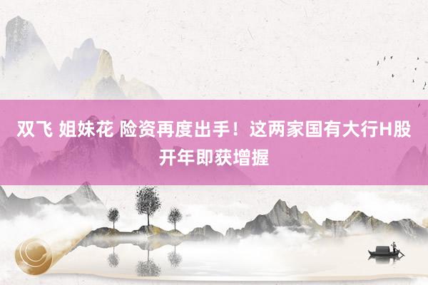 双飞 姐妹花 险资再度出手！这两家国有大行H股开年即获增握