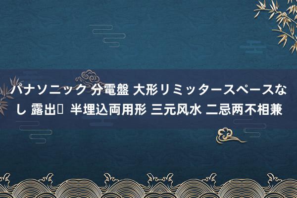 パナソニック 分電盤 大形リミッタースペースなし 露出・半埋込両用形 三元风水 二忌两不相兼