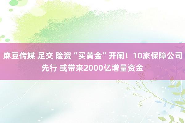 麻豆传媒 足交 险资“买黄金”开闸！10家保障公司先行 或带来2000亿增量资金