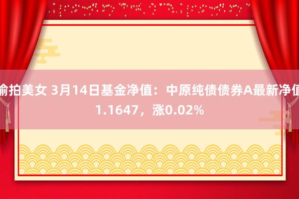偷拍美女 3月14日基金净值：中原纯债债券A最新净值1.1647，涨0.02%