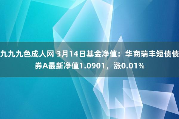 九九九色成人网 3月14日基金净值：华商瑞丰短债债券A最新净值1.0901，涨0.01%