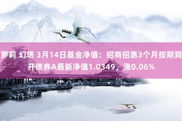 萝莉 幻塔 3月14日基金净值：招商招惠3个月按期洞开债券A最新净值1.0349，涨0.06%