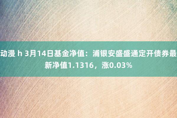 动漫 h 3月14日基金净值：浦银安盛盛通定开债券最新净值1.1316，涨0.03%
