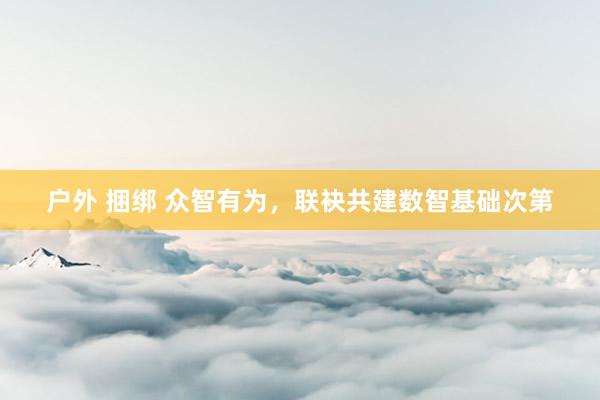 户外 捆绑 众智有为，联袂共建数智基础次第