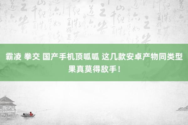 霸凌 拳交 国产手机顶呱呱 这几款安卓产物同类型果真莫得敌手！