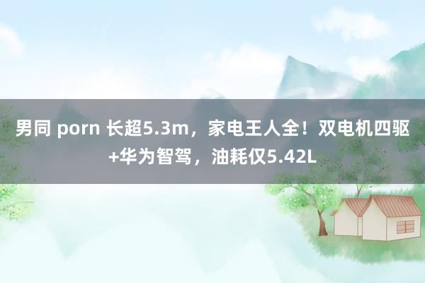 男同 porn 长超5.3m，家电王人全！双电机四驱+华为智驾，油耗仅5.42L