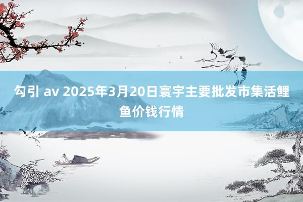 勾引 av 2025年3月20日寰宇主要批发市集活鲤鱼价钱行情