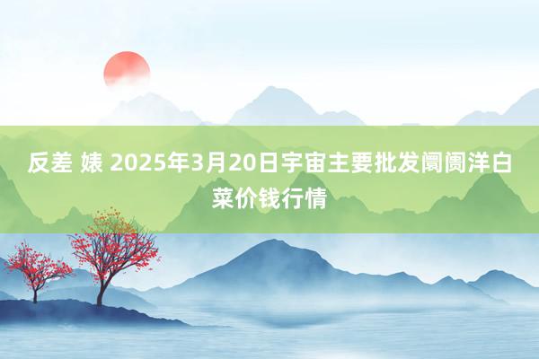 反差 婊 2025年3月20日宇宙主要批发阛阓洋白菜价钱行情