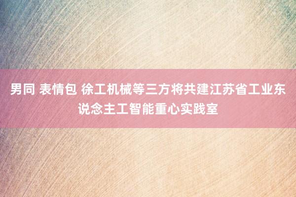 男同 表情包 徐工机械等三方将共建江苏省工业东说念主工智能重心实践室
