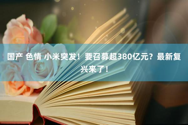 国产 色情 小米突发！要召募超380亿元？最新复兴来了！