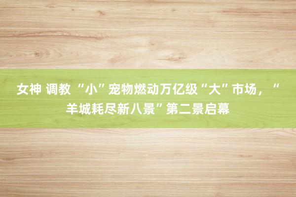 女神 调教 “小”宠物燃动万亿级“大”市场，“羊城耗尽新八景”第二景启幕