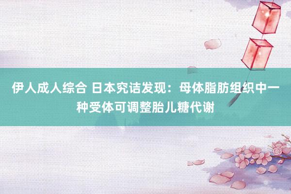伊人成人综合 日本究诘发现：母体脂肪组织中一种受体可调整胎儿糖代谢