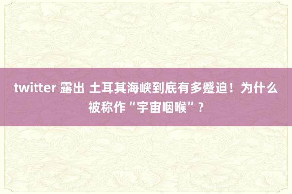 twitter 露出 土耳其海峡到底有多蹙迫！为什么被称作“宇宙咽喉”？