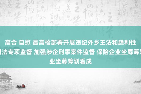 高合 自慰 最高检部署开展违纪外乡王法和趋利性王法司法专项监督 加强涉企刑事案件监督 保险企业坐蓐筹划看成