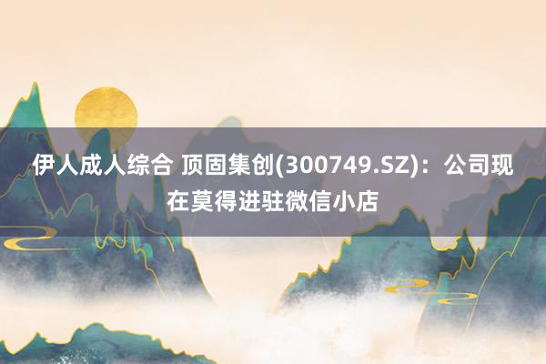 伊人成人综合 顶固集创(300749.SZ)：公司现在莫得进驻微信小店
