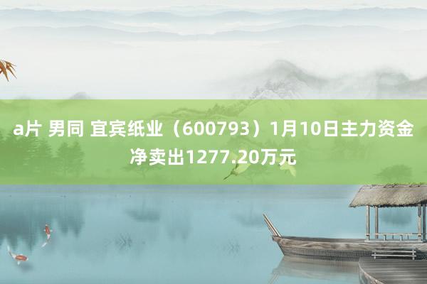 a片 男同 宜宾纸业（600793）1月10日主力资金净卖出1277.20万元
