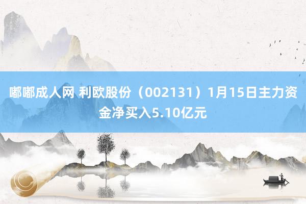 嘟嘟成人网 利欧股份（002131）1月15日主力资金净买入5.10亿元