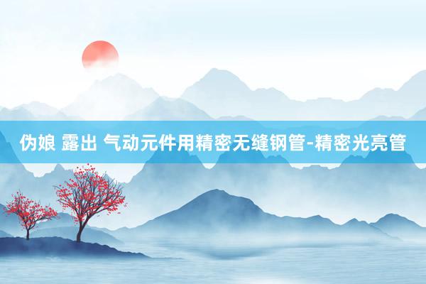伪娘 露出 气动元件用精密无缝钢管-精密光亮管
