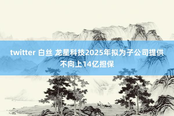 twitter 白丝 龙星科技2025年拟为子公司提供不向上14亿担保