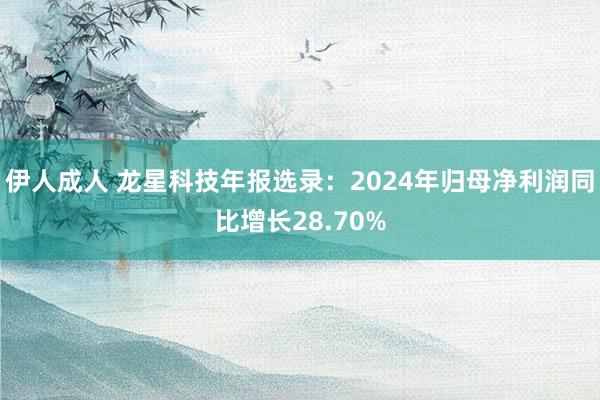 伊人成人 龙星科技年报选录：2024年归母净利润同比增长28.70%