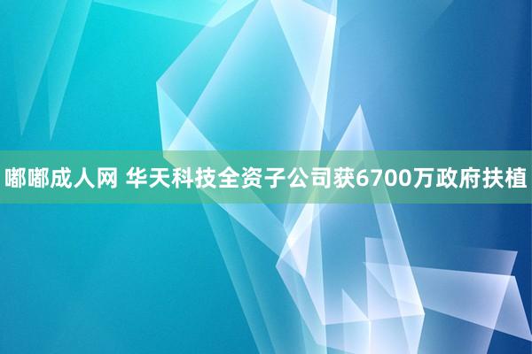 嘟嘟成人网 华天科技全资子公司获6700万政府扶植