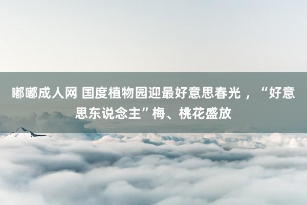 嘟嘟成人网 国度植物园迎最好意思春光 ，“好意思东说念主”梅、桃花盛放