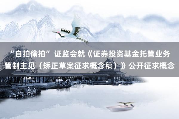 “自拍偷拍” 证监会就《证券投资基金托管业务管制主见（矫正草案征求概念稿）》公开征求概念