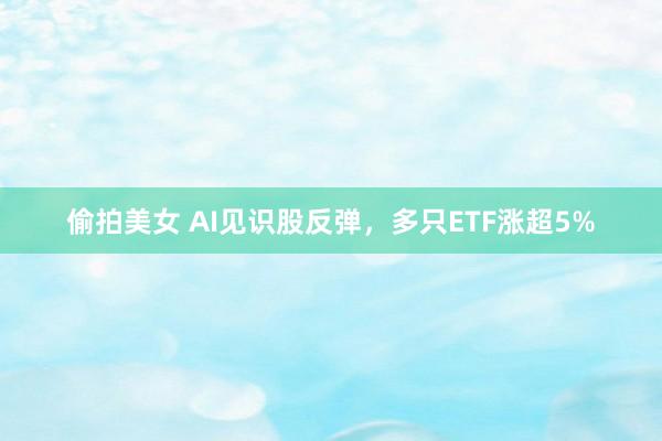 偷拍美女 AI见识股反弹，多只ETF涨超5%