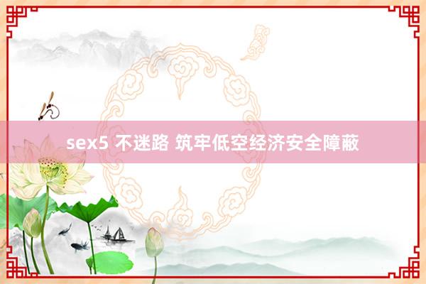 sex5 不迷路 筑牢低空经济安全障蔽