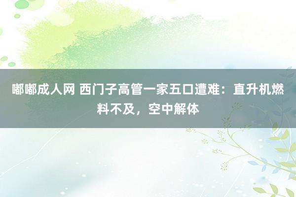 嘟嘟成人网 西门子高管一家五口遭难：直升机燃料不及，空中解体