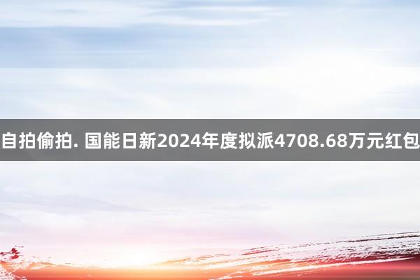 自拍偷拍. 国能日新2024年度拟派4708.68万元红包