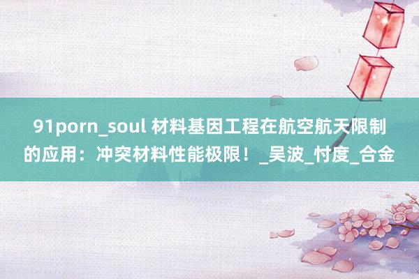 91porn_soul 材料基因工程在航空航天限制的应用：冲突材料性能极限！_吴波_忖度_合金
