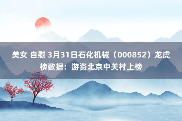 美女 自慰 3月31日石化机械（000852）龙虎榜数据：游资北京中关村上榜