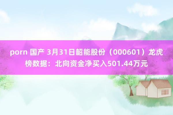 porn 国产 3月31日韶能股份（000601）龙虎榜数据：北向资金净买入501.44万元