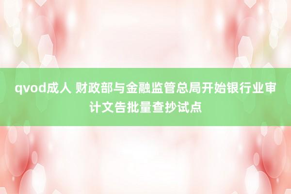 qvod成人 财政部与金融监管总局开始银行业审计文告批量查抄试点