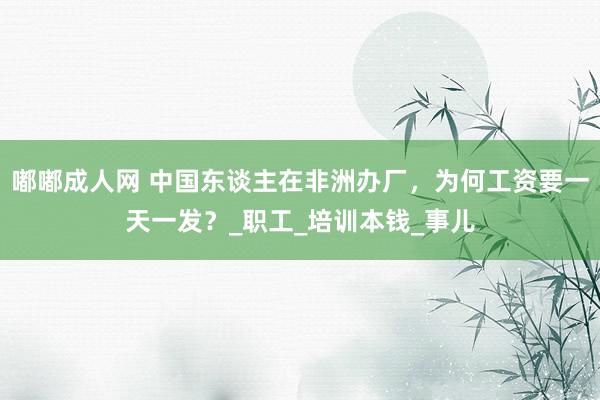 嘟嘟成人网 中国东谈主在非洲办厂，为何工资要一天一发？_职工_培训本钱_事儿