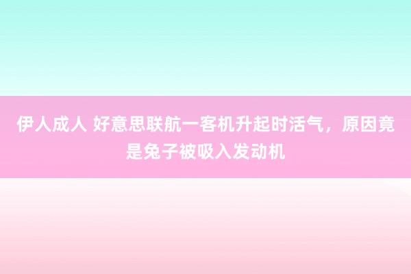 伊人成人 好意思联航一客机升起时活气，原因竟是兔子被吸入发动机