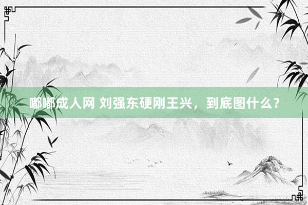 嘟嘟成人网 刘强东硬刚王兴，到底图什么？
