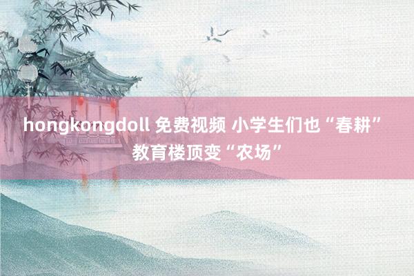 hongkongdoll 免费视频 小学生们也“春耕” 教育楼顶变“农场”