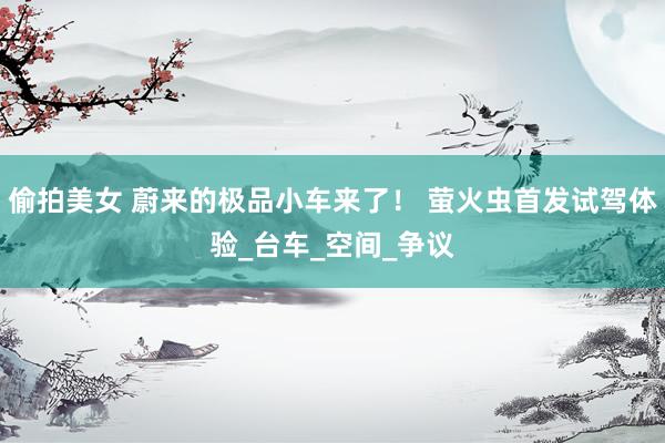 偷拍美女 蔚来的极品小车来了！ 萤火虫首发试驾体验_台车_空间_争议
