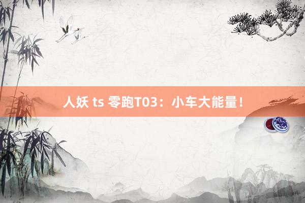人妖 ts 零跑T03：小车大能量！
