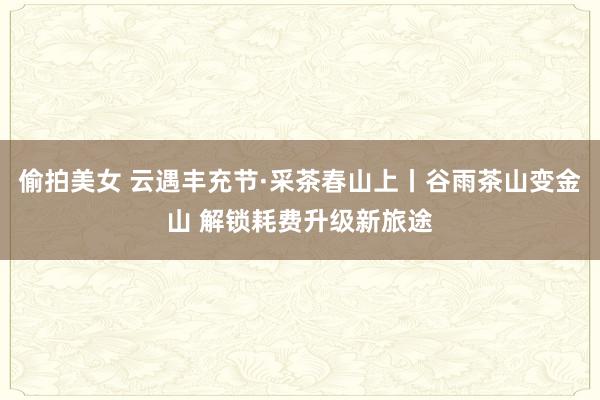 偷拍美女 云遇丰充节·采茶春山上丨谷雨茶山变金山 解锁耗费升级新旅途