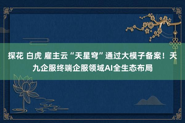 探花 白虎 雇主云“天星穹”通过大模子备案！天九企服终端企服领域AI全生态布局