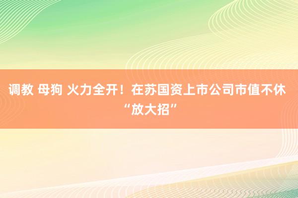 调教 母狗 火力全开！在苏国资上市公司市值不休 “放大招”