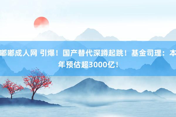 嘟嘟成人网 引爆！国产替代深蹲起跳！基金司理：本年预估超3000亿！