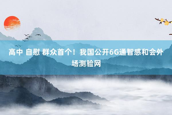 高中 自慰 群众首个！我国公开6G通智感和会外场测验网