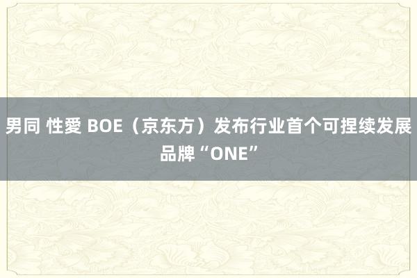 男同 性愛 BOE（京东方）发布行业首个可捏续发展品牌“ONE”